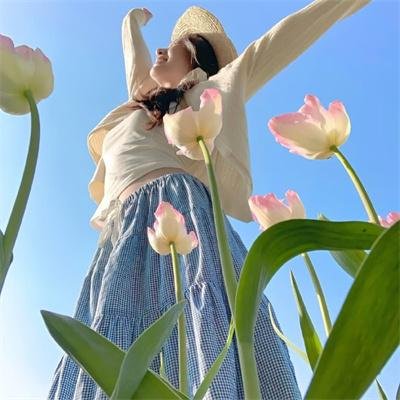 酷狗上学记